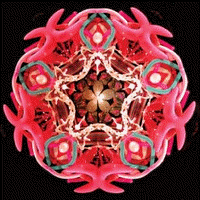 Fluid Kaleidoscopes