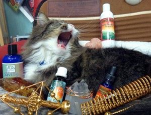 Tools for Healing