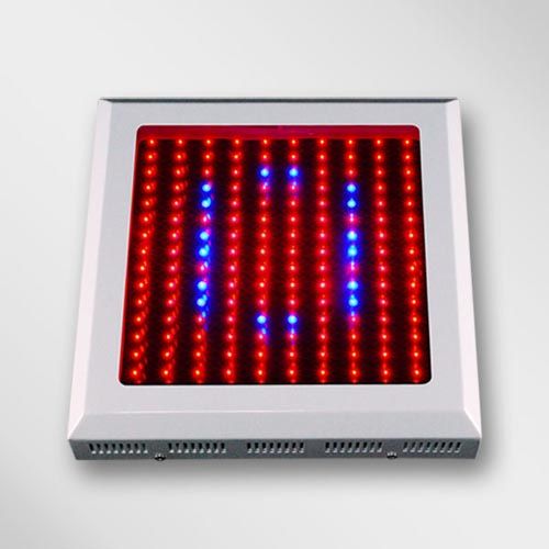 t5 grow lights ebay