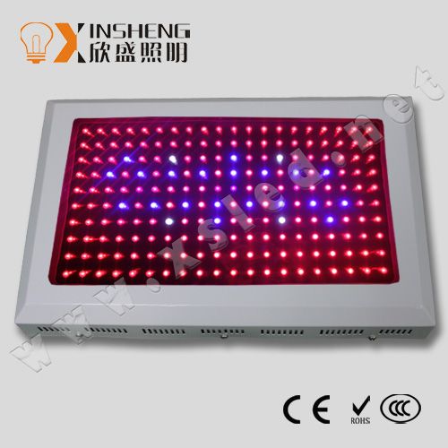 top rated led grow lights