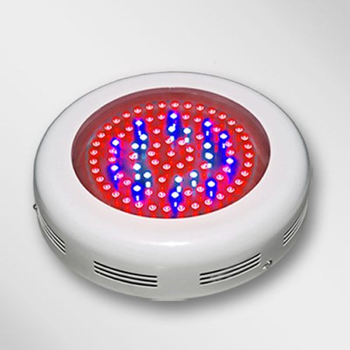 best led grow lights 2016 review