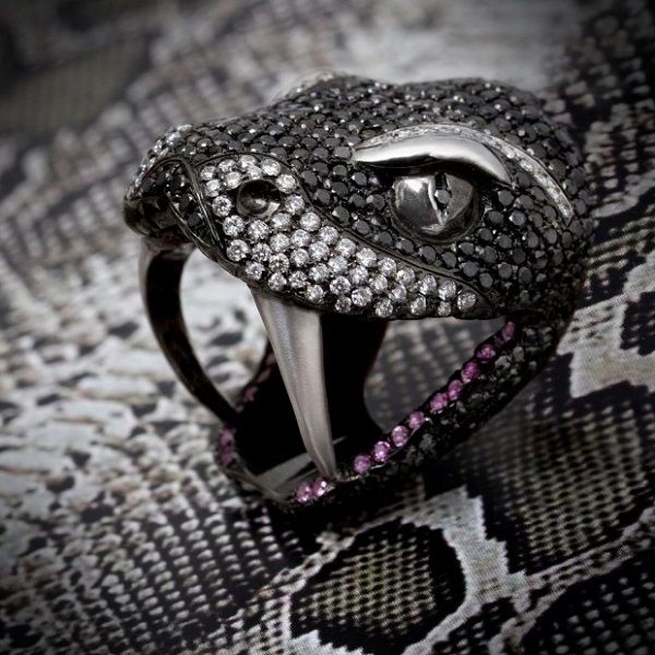 photo SNake-BoY-620x620_zpsd6901f17.jpg