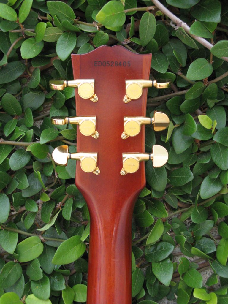 Edwards E-LP-112LTS/RE Cherry Sunburst | Reverb