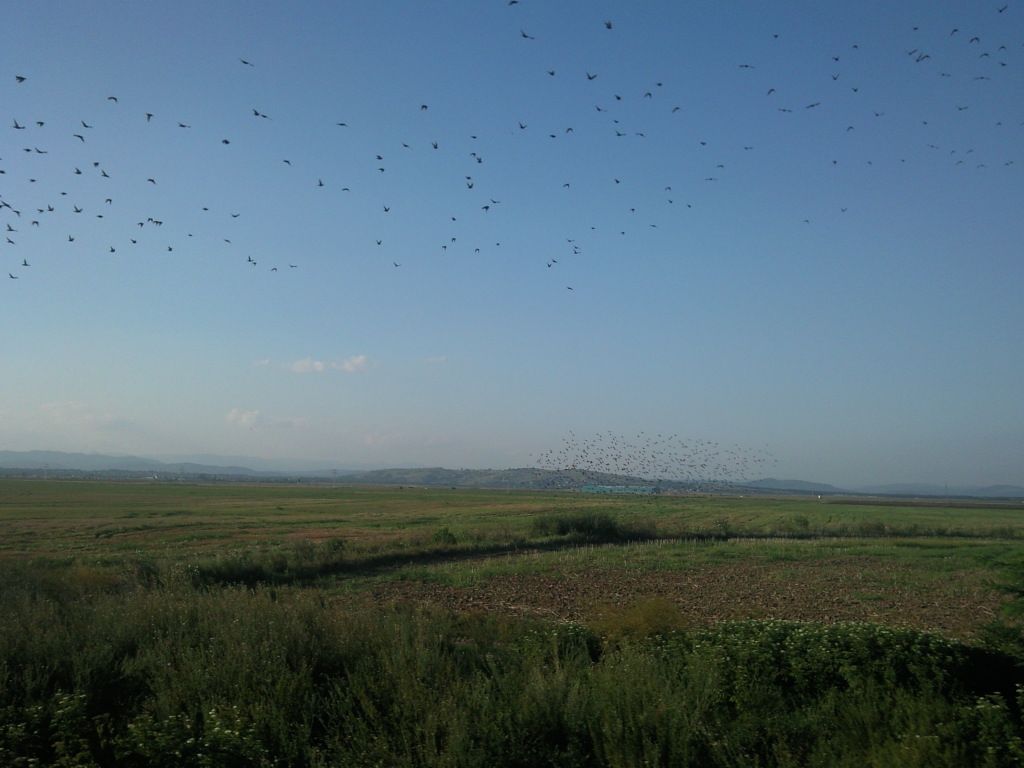  photo Photo-0033_zps3b3c5543.jpg