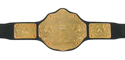 World Heavyweight Champion World Heavyweight Champion