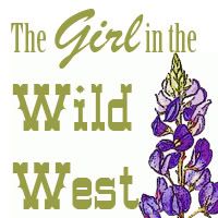 The Girl in The Wild West