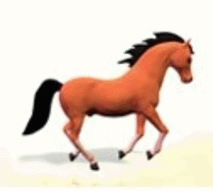 photo ANIMASIKUDABERLARI.gif