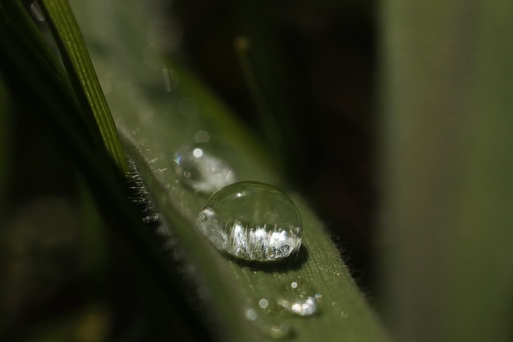 Fotografie
