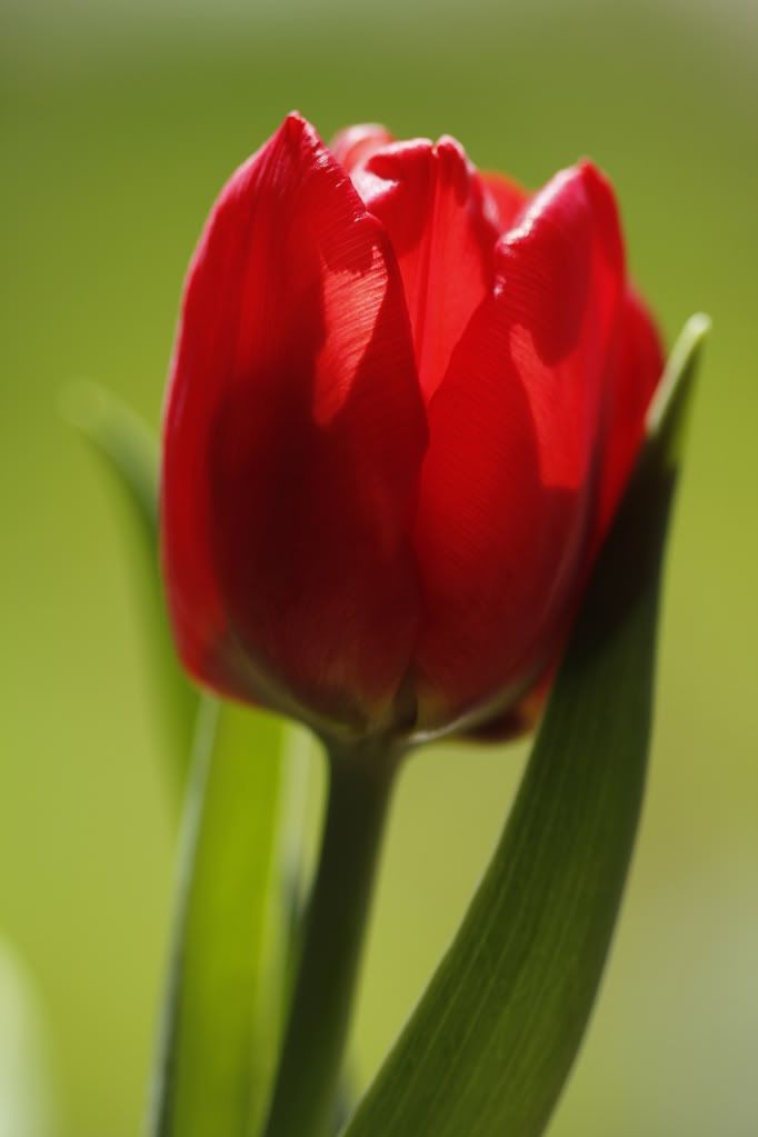 Fotografie
