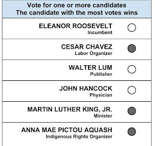 Approval voting ballot