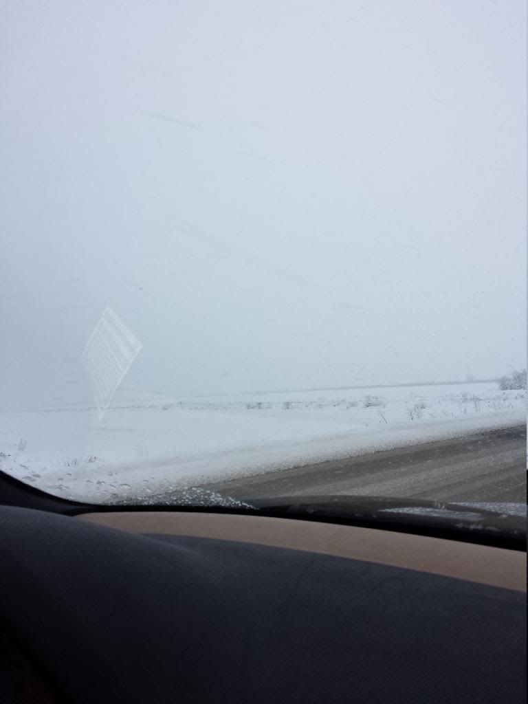 20140126_123709_zpsufpe4eln.jpg
