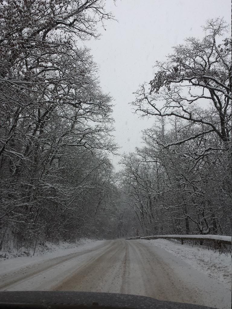 20140126_130622_zpsnu3fglbd.jpg