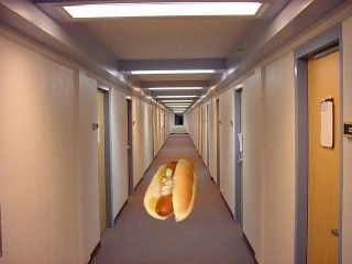 hotdog_hallway-1.jpg