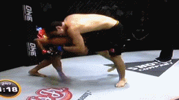 1036584-7M0VFAL.gif